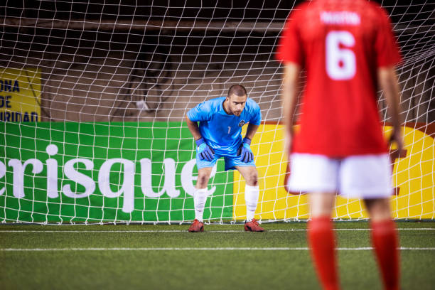 触觉和坚定 触觉和坚定