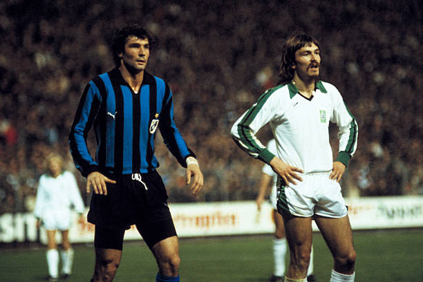 味着可以为 味着可以为