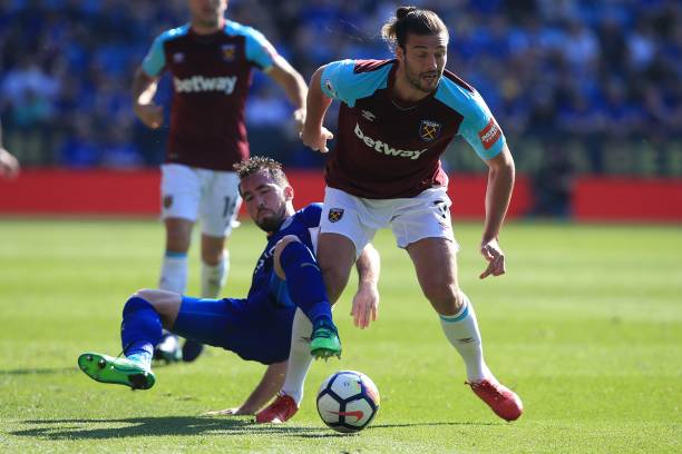 我们将有机 我们将有机